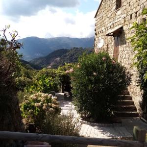 Gallery image of les chalets et gite du haut taravo in Zicavo