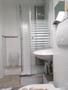 y baño con ducha y lavamanos. en Apartment an der Schweizer Grenze, en Laufenburg