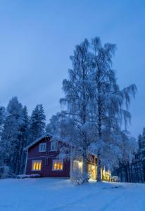 Old Pine Husky Lodge v zimě