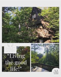 a collage of pictures of a house in the woods at Chalet Woods in Durbuy