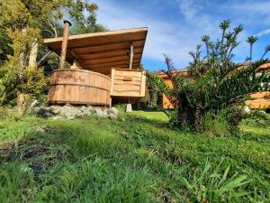 a wooden barrel and a wooden house in the grass at Pillang Likan tinas calientes, el poder del Volcan in Puerto Varas