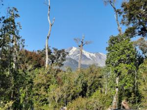 uma montanha à distância com árvores em primeiro plano em Pillang Likan tinas calientes, el poder del Volcan em Puerto Varas