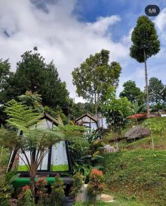 a house with a window in a garden with plants at D'Paseban Glamping in Bogor