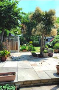 a garden with palm trees and a patio at Summer House at Percy Villas in Kent