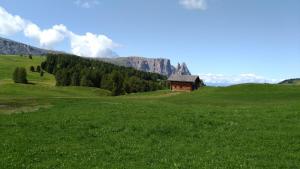 Galeriebild der Unterkunft CasaViva - Grazioso bilocale all’Alpe di Siusi in Kastelruth