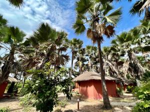 Sodas prie apgyvendinimo įstaigos Nemasu Eco-lodge