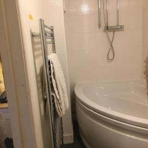 a bathroom with a white toilet and a shower at Castle Lodge Wilton in Ross on Wye