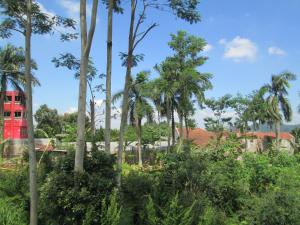 Сад в Hotel Cemerlang