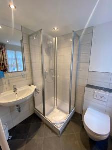 a bathroom with a shower and a toilet and a sink at Hotel Gute Quelle in Beilstein