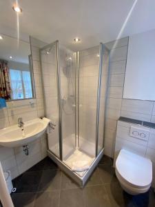 ein Bad mit einer Dusche, einem WC und einem Waschbecken in der Unterkunft Hotel Gute Quelle in Beilstein