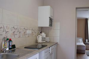 Kuchyňa alebo kuchynka v ubytovaní Ilona Apartman