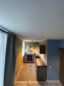 a kitchen with blue walls and a counter top at Classic and calm city center in Rīga