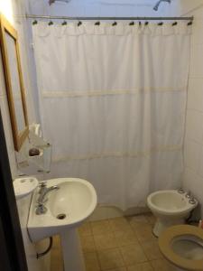 a bathroom with a sink and a toilet and a shower curtain at Duplex en el centro de Concepción del Uruguay in Concepción del Uruguay