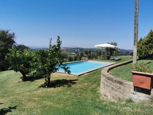 a swimming pool in a yard with an apple tree at Casale Druida in Poggio Mirteto