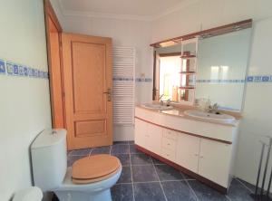 a bathroom with a toilet and a sink and a mirror at Zimão Garden House in Vila Real