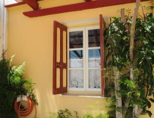 a window on the side of a house with plants at Aloustina's House in Symi