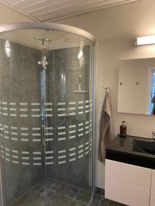 um chuveiro com uma porta de vidro na casa de banho em Feriehus i skøn natur em Stenstrup