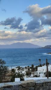 a view of the ocean with buildings and palm trees at Arion suites Mykonos in Mikonos