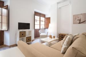 salon z kanapą i telewizorem w obiekcie Santiago Premium loft I w Maladze