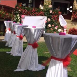 a row of white chairs sitting in the grass at Apartmani Neven in Irig