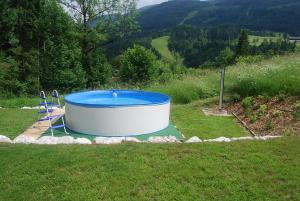 The swimming pool at or close to Stegerhütte