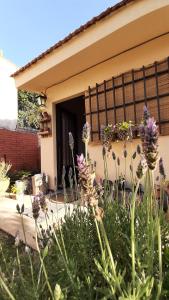un jardín frente a una casa con flores púrpuras en La casita del colibri en Córdoba