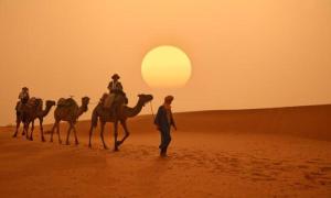 マラケシュにあるRiad Assouの砂漠のラクダ乗り集団