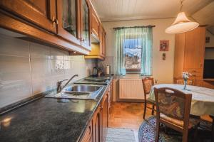 a kitchen with a sink and a counter top at Homestay Kocka in Zgornje Jezersko