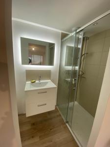 y baño con lavabo y ducha. en Maison joliment rénovée à 5 minutes du futuroscope, en Chasseneuil-du-Poitou