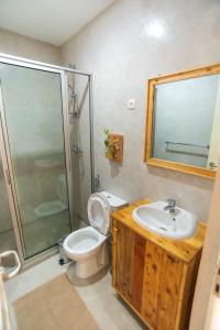 a bathroom with a toilet and a shower and a sink at Amwilla Guesthouse Apartamento Fátima in Mindelo