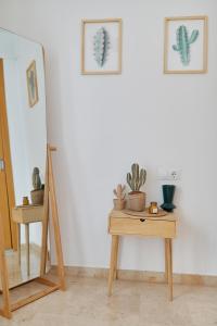 Fotografie z fotogalerie ubytování Penthouse Cactus Old Center v destinaci Alicante