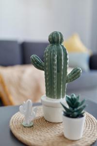 Fotografie z fotogalerie ubytování Penthouse Cactus Old Center v destinaci Alicante