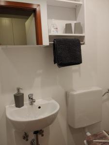 ein Badezimmer mit einem Waschbecken, einem WC und einem Spiegel in der Unterkunft Madame Jacqueline - Steinhude in Wunstorf