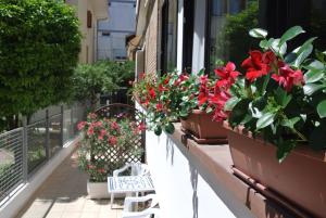 Zahrada ubytování Pensione TOSCA B&B Cattolica