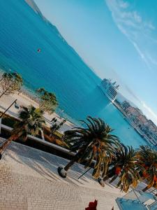 a view of a beach with palm trees and the ocean at Hotel Klironomi in Sarandë