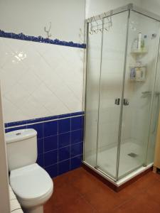 uma casa de banho com um WC e uma cabina de duche em vidro. em PME Rooms em Madri