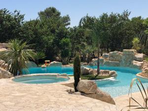 a pool in a resort with a cactus and rocks at Villa des Cabres in Lunel