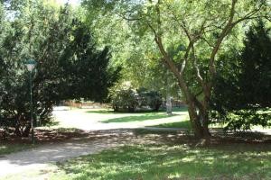 a park with a tree and a street light at GoVienna - Charming Studio in Vienna