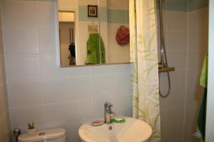 a bathroom with a sink and a toilet and a mirror at GoVienna - Charming Studio in Vienna +11 photos