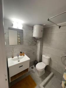 a bathroom with a toilet and a sink at Vatos Studio in Vátos +35 photos