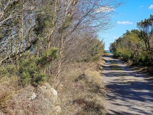 un camino de tierra con árboles a un lado. en 8 person holiday home in Thyholm, en Thyholm