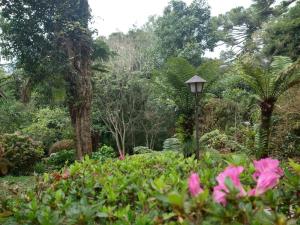 蒙特韦尔迪Pousada Estrela da Serra的相册照片