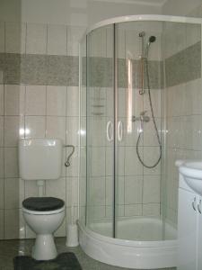 a bathroom with a shower and a toilet and a sink at Horváthapartman in Bük