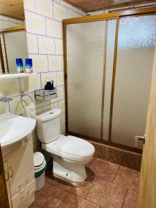 カストロにあるCabañas Los Fabianesのバスルーム(白いトイレ、シャワー付)