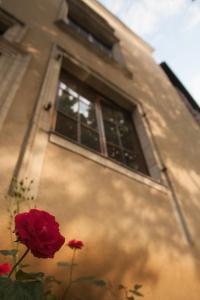 eine rote Rose vor einem Gebäude mit Fenster in der Unterkunft Le Gite de la Muraille in Le Mans