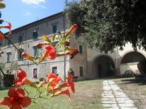 A garden outside Farmhouse in Umbria near Lake Trasimeno