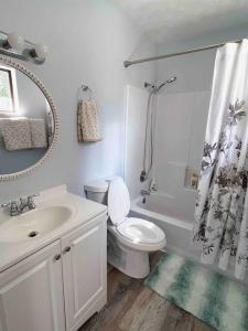 a bathroom with a toilet and a sink and a shower at Charming house in Sevierville Family friendly Quiet location Close to Wilderness in Sevierville