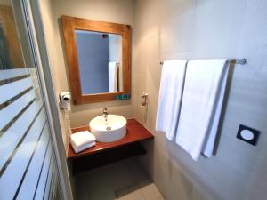 a bathroom with a sink and a mirror at Hotel Exsel Victoria in Saint-Pierre