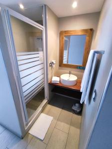 ein Bad mit einem Waschbecken und einer Dusche mit einem Spiegel in der Unterkunft Hotel Exsel Victoria in Saint-Pierre