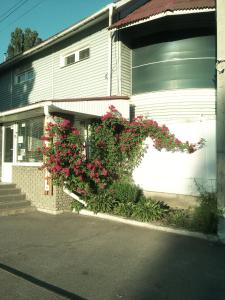 un cespuglio di fiori rosa sul lato di un edificio di motel Pid Strihoyu a Kremenčuk